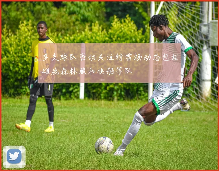 多支球队密切关注特雷杨动态包括雄鹿森林狼和快船等队