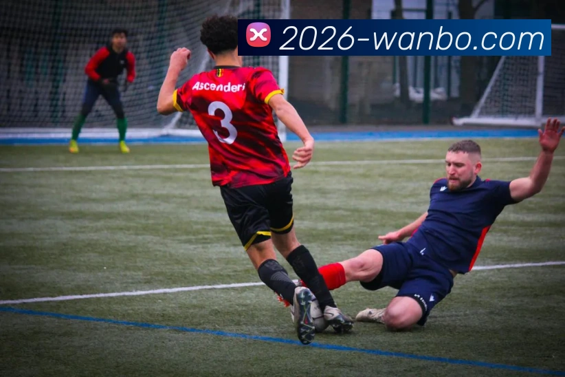 万博体育APP 封面图