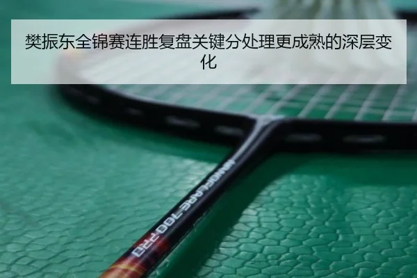 樊振东全锦赛连胜复盘关键分处理更成熟的深层变化（ManBetX）